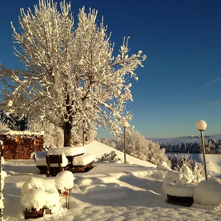 מלון Boutique Moosegg 3*