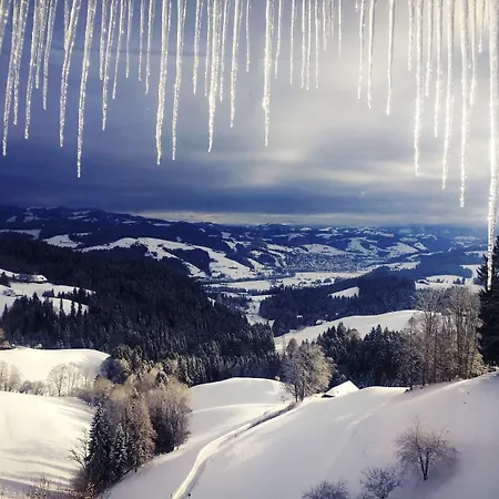 מלון Boutique Moosegg