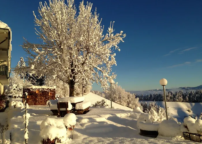 Hotel Boutique Moosegg 3*